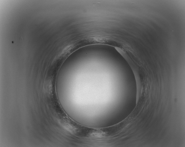 X0000080200595200612152042