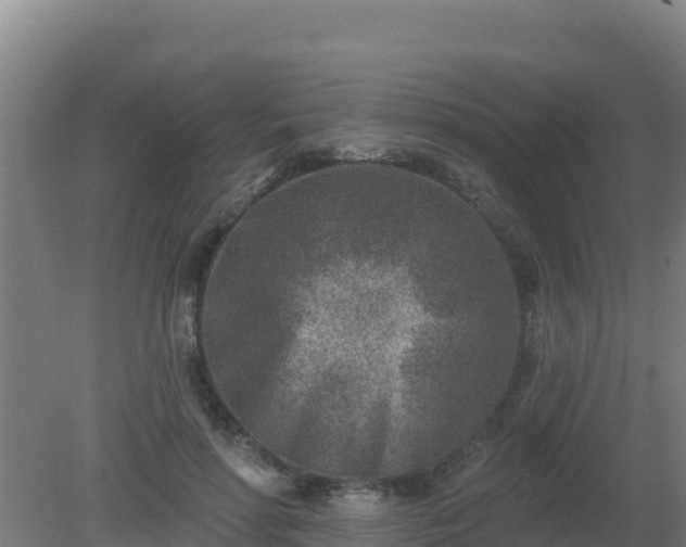 X0000080200598200612152042