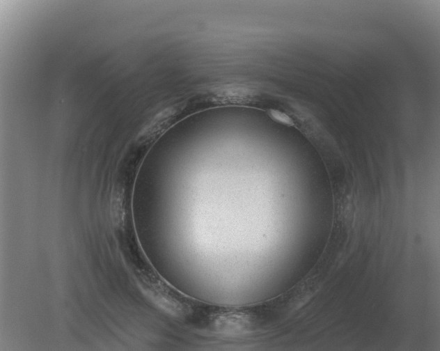 X0000080200599200612152042