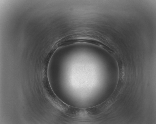 X0000080200600200612152042