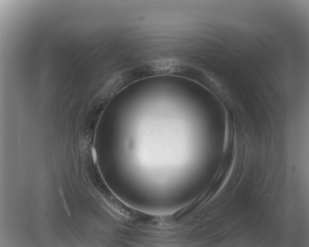 X0000080200601200612152042