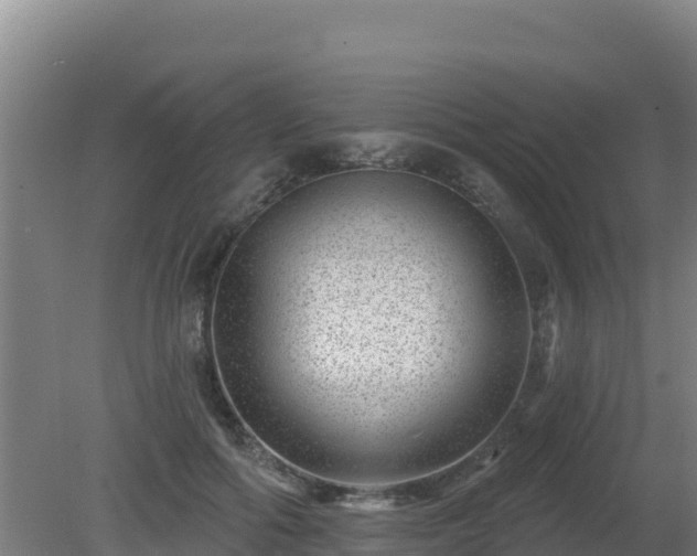 X0000080200602200612152042