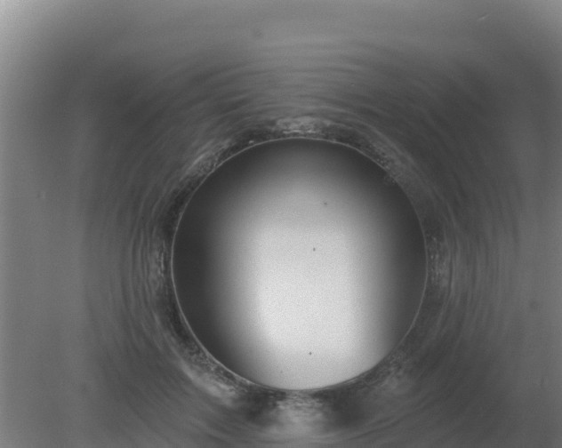 X0000080200603200612152042