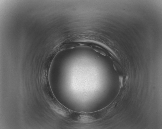 X0000080200605200612152042