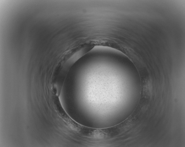 X0000080200608200612152042