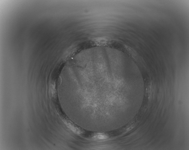 X0000080200610200612152042