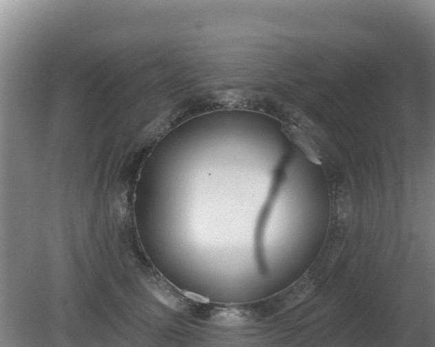 X0000080200611200612152042