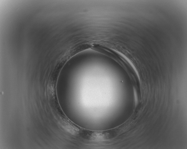 X0000080200613200612152042