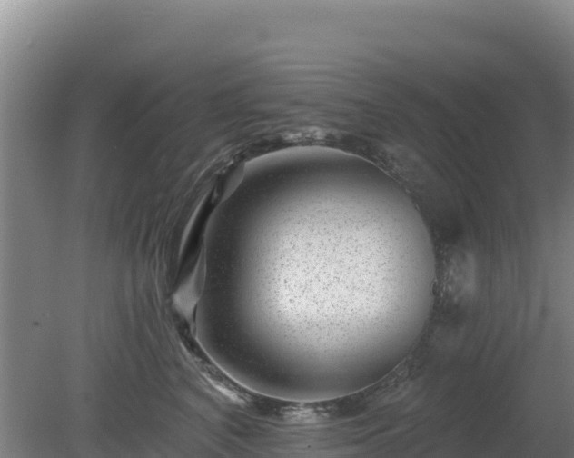 X0000080200616200612152042