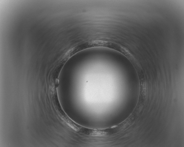 X0000080200617200612152042