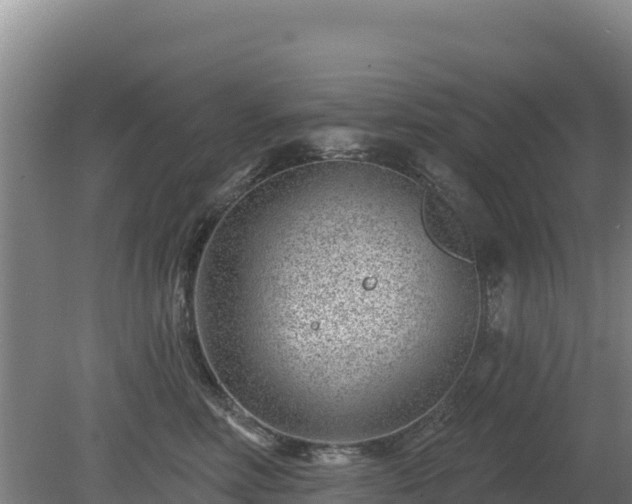 X0000080200618200612152042