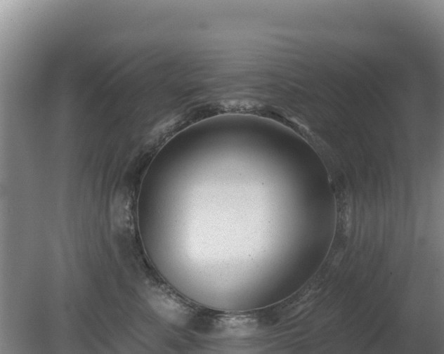 X0000080200619200612152042