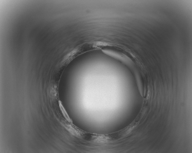 X0000080200621200612152042