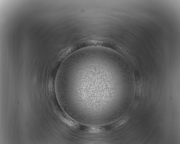 X0000080200623200612152041