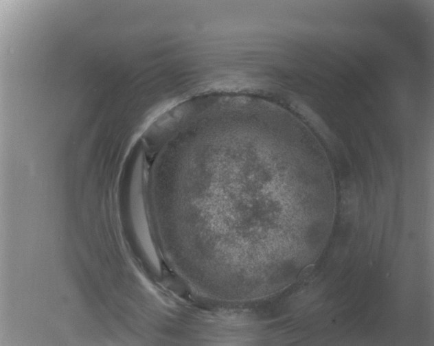 X0000080200626200612152041