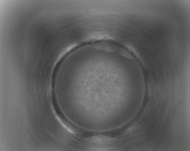 X0000080200630200612152041