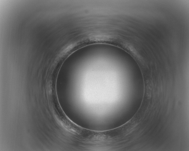 X0000080200631200612152041