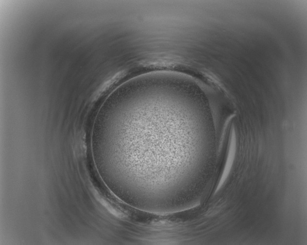 X0000080200634200612152041