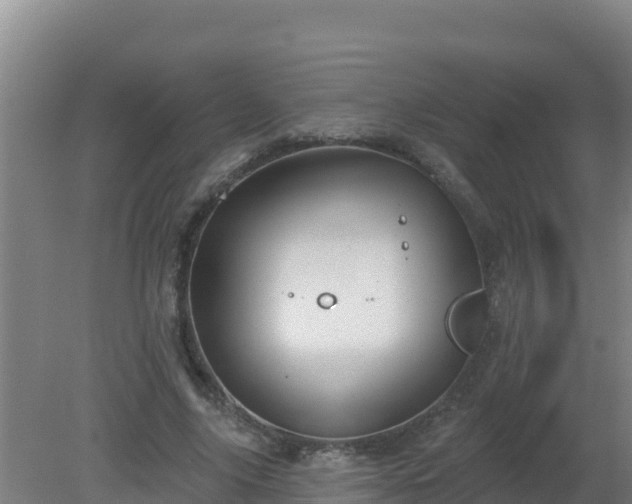 X0000080200635200612152041