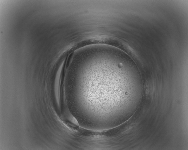 X0000080200637200612152041