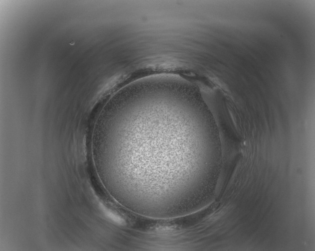 X0000080200638200612152041