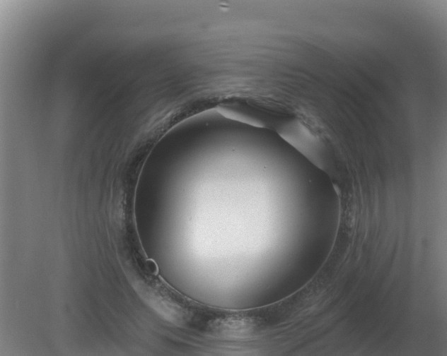 X0000080200639200612152041