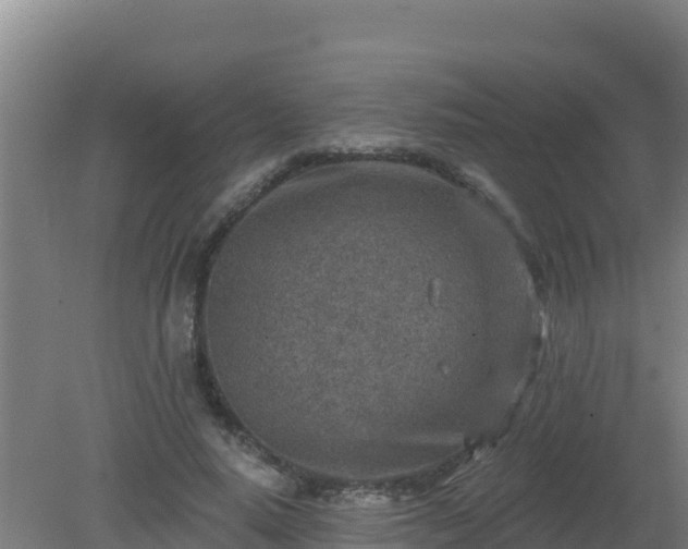 X0000080200640200612152041