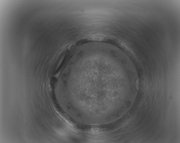 X0000080200641200612152041