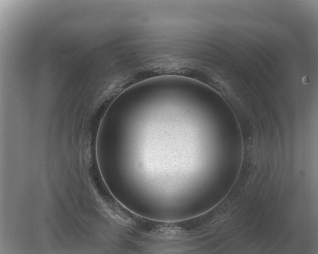 X0000080200642200612152041