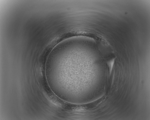 X0000080200643200612152041