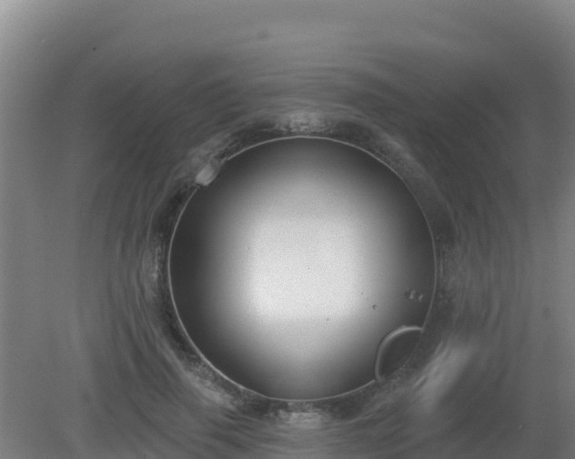 X0000080200645200612152041