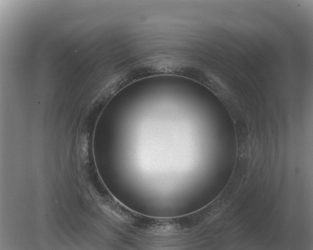 X0000080200646200612152041