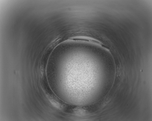 X0000080200648200612152041