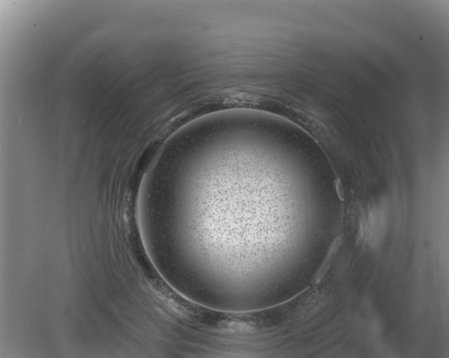 X0000080200649200612152041