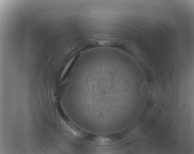 X0000080200650200612152041