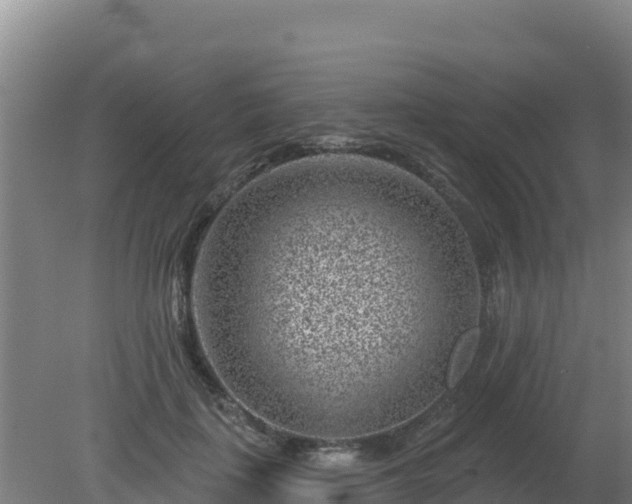 X0000080200651200612152041