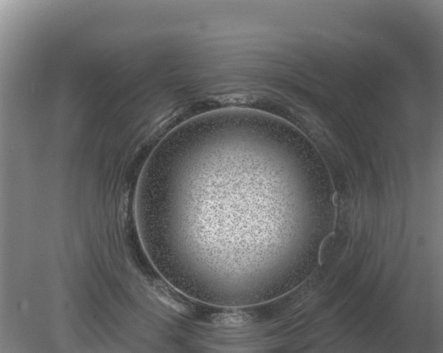 X0000080200652200612152041