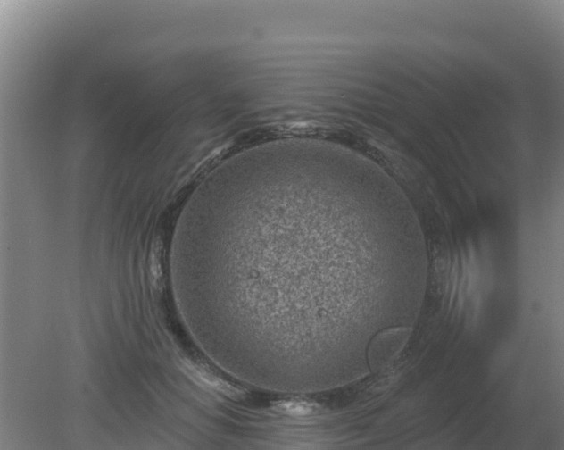 X0000080200654200612152041