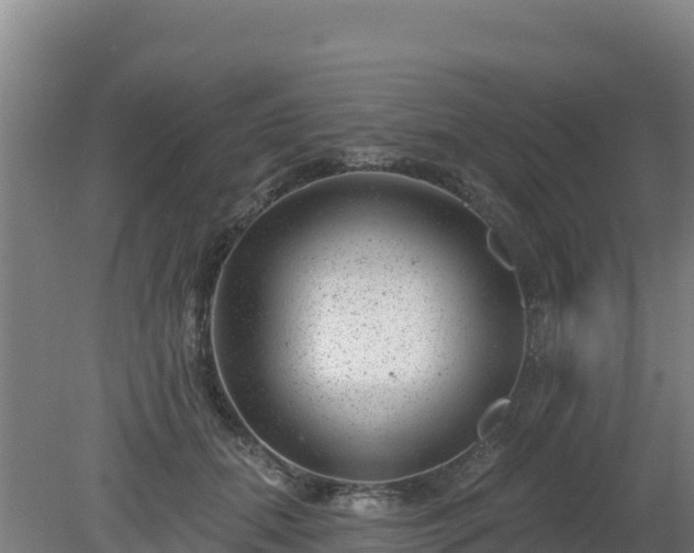 X0000080200655200612152041