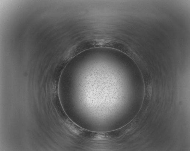 X0000080200657200612152041