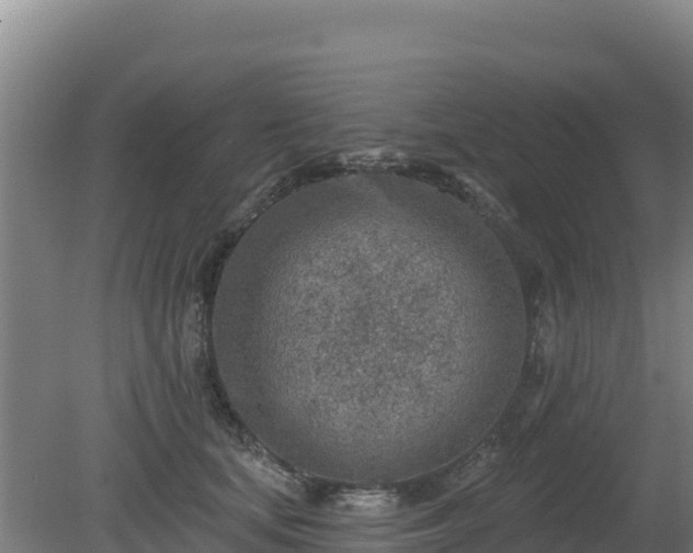 X0000080200659200612152041