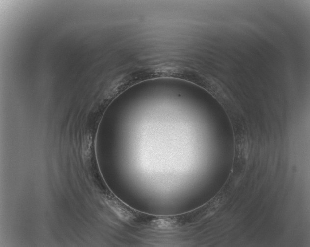 X0000080200660200612152041