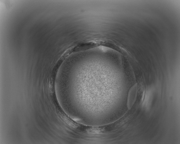 X0000080200661200612152041