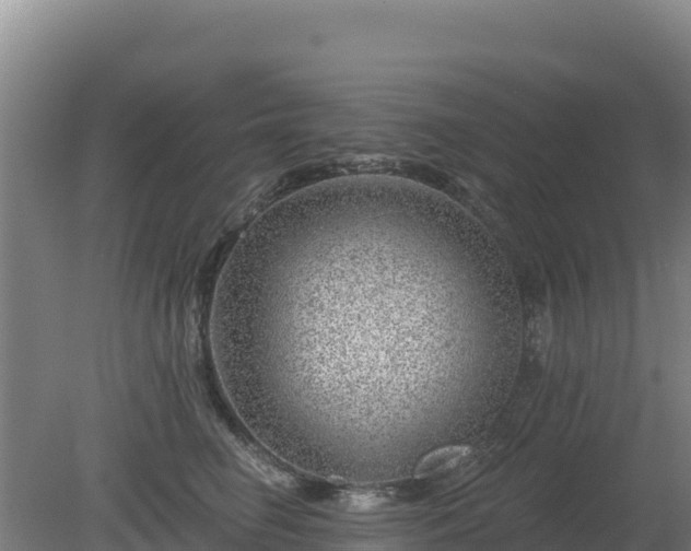 X0000080200662200612152041