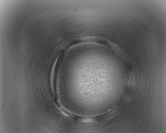 X0000080200669200612152041