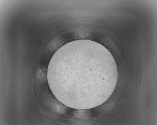 X0000080200672200612152041