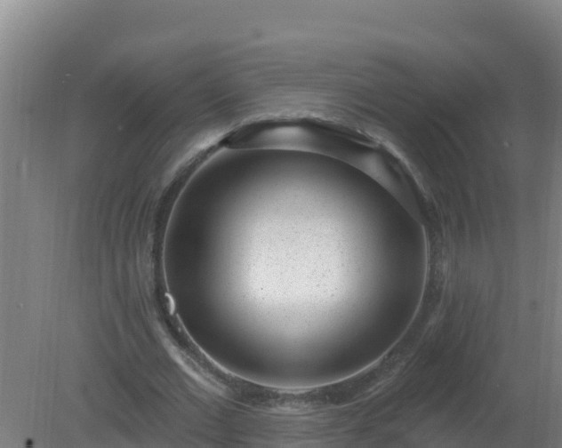 X0000080200677200612152041