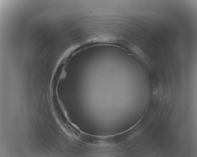 X0000080200678200612152041