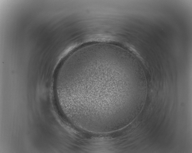 X0000080200679200612152041