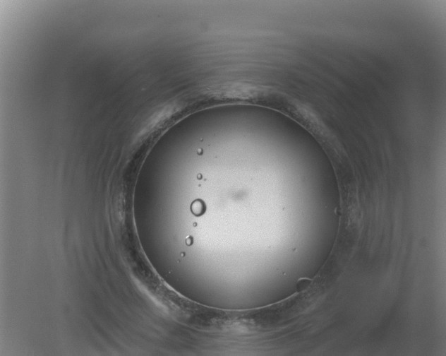 X0000080200683200612152040